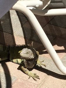 img_0022