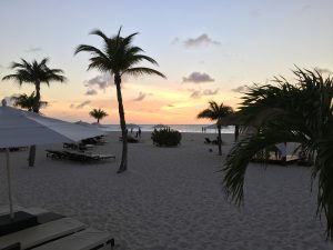img_0202