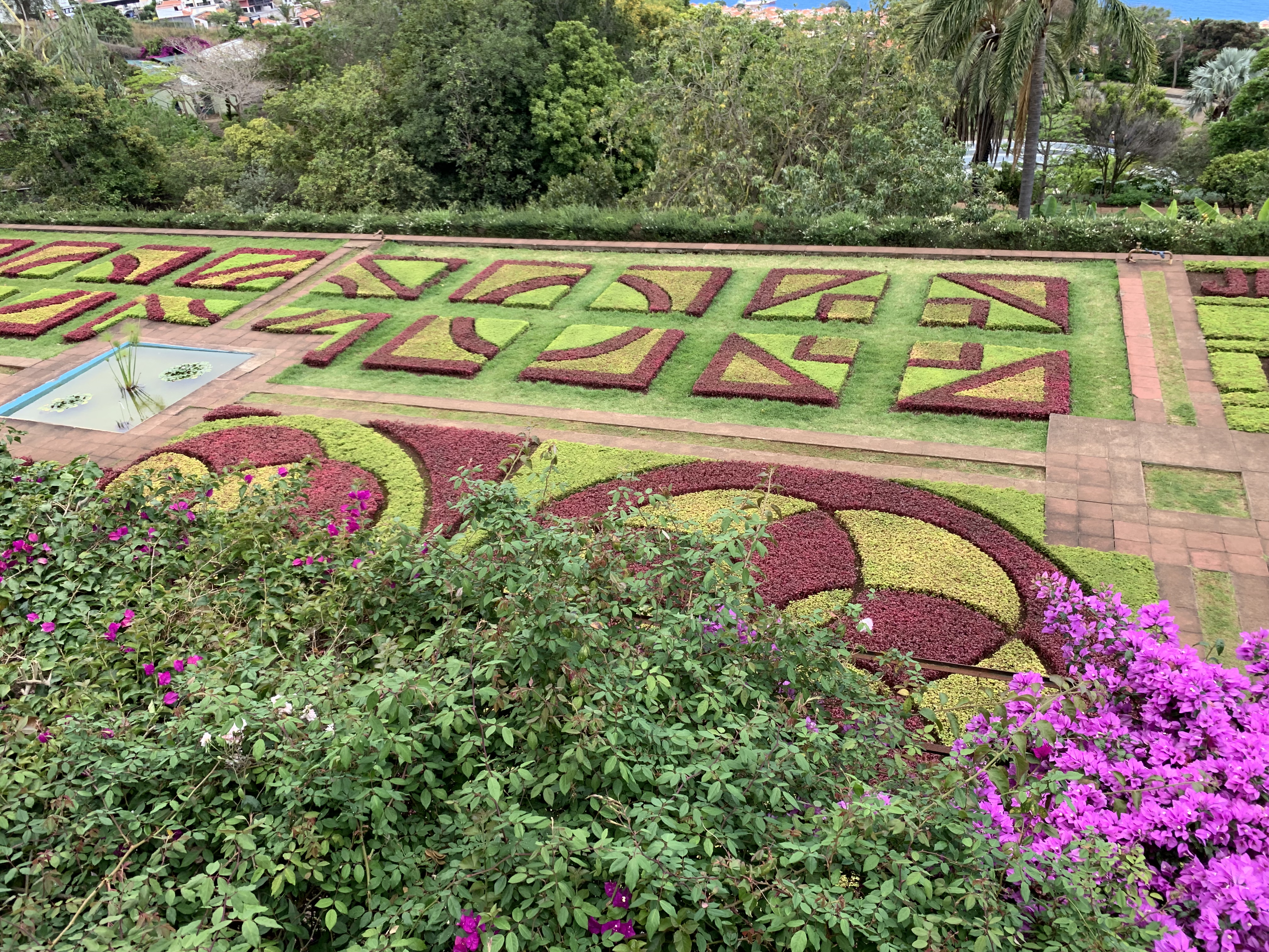 Dag 2 – Jardin Botanico
